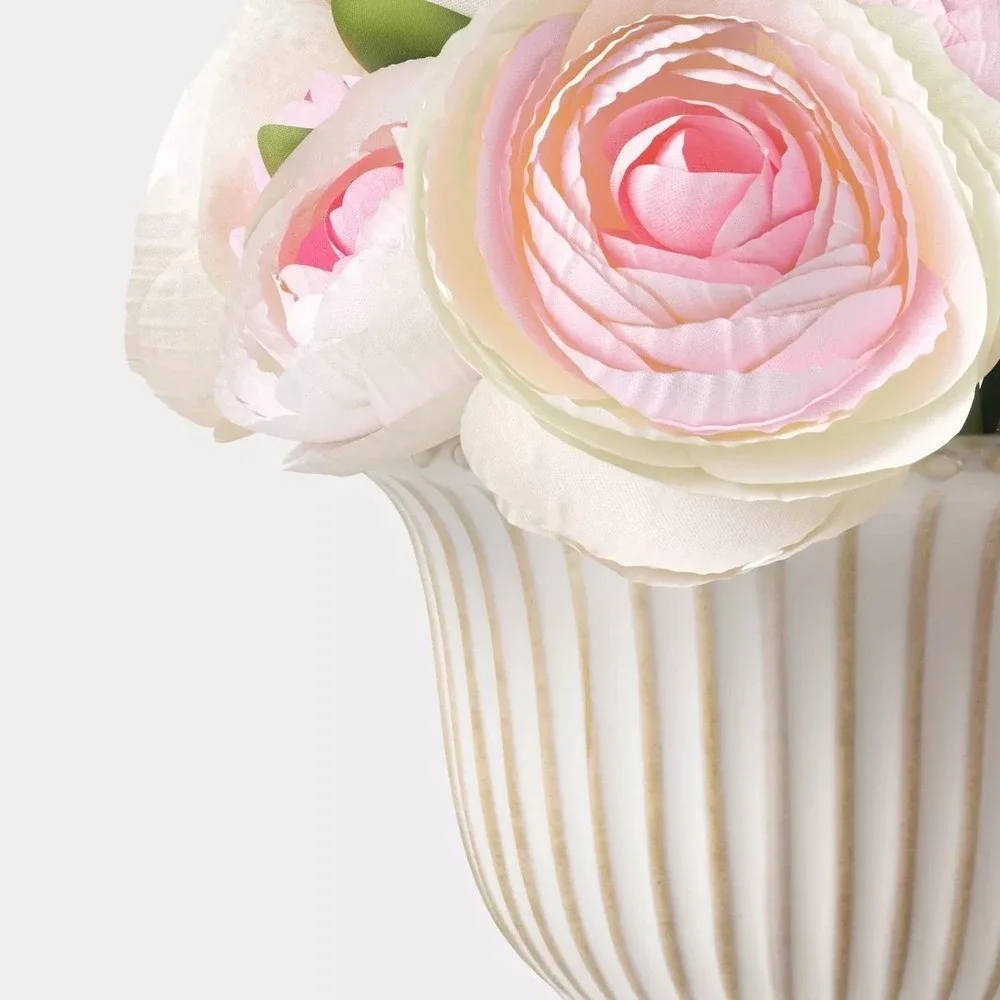 Threshold potted ranunculus